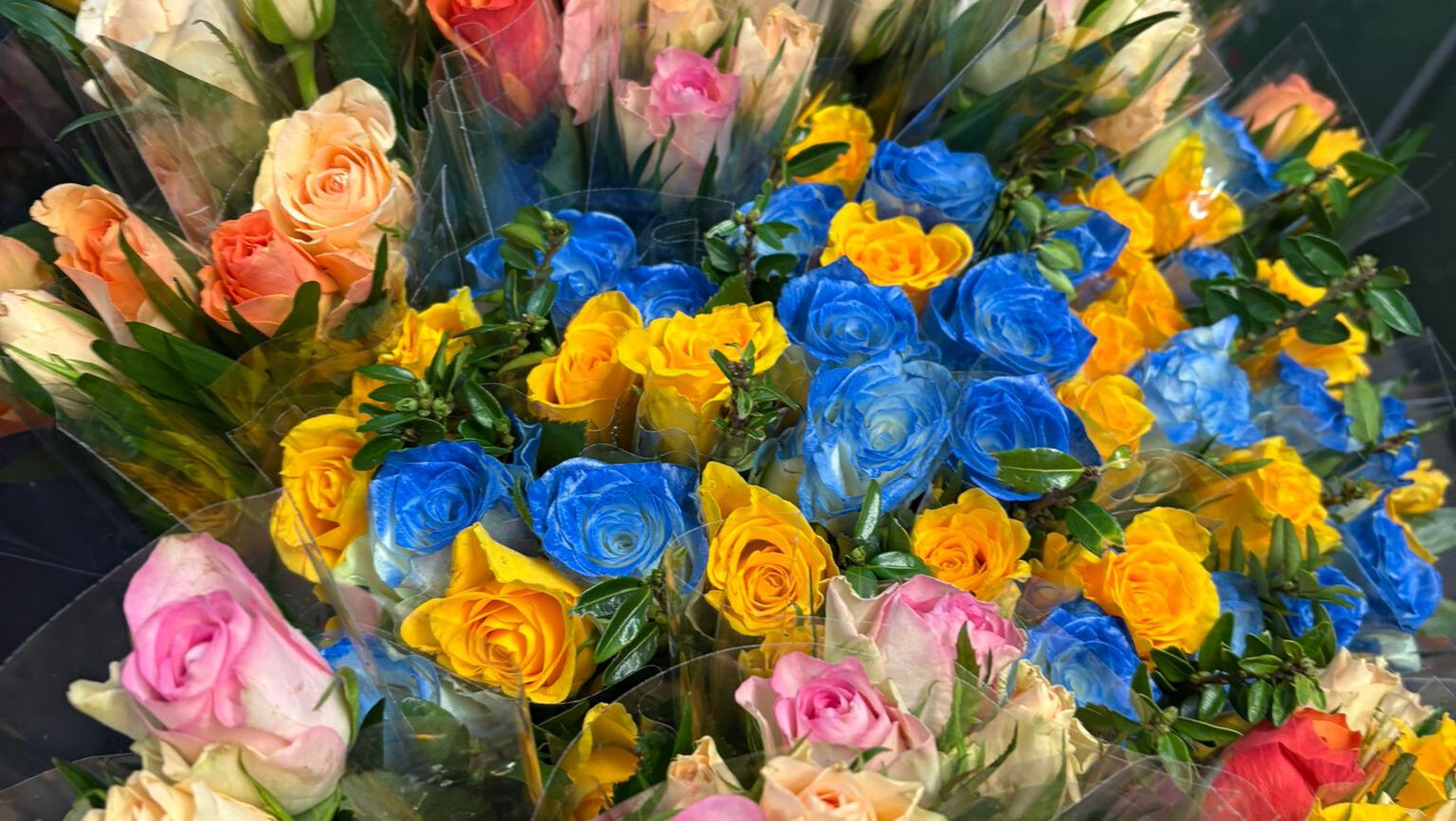 🎭 Vorfreude pur: Die Vorbereitungen für den Rosenmontagszug laufen