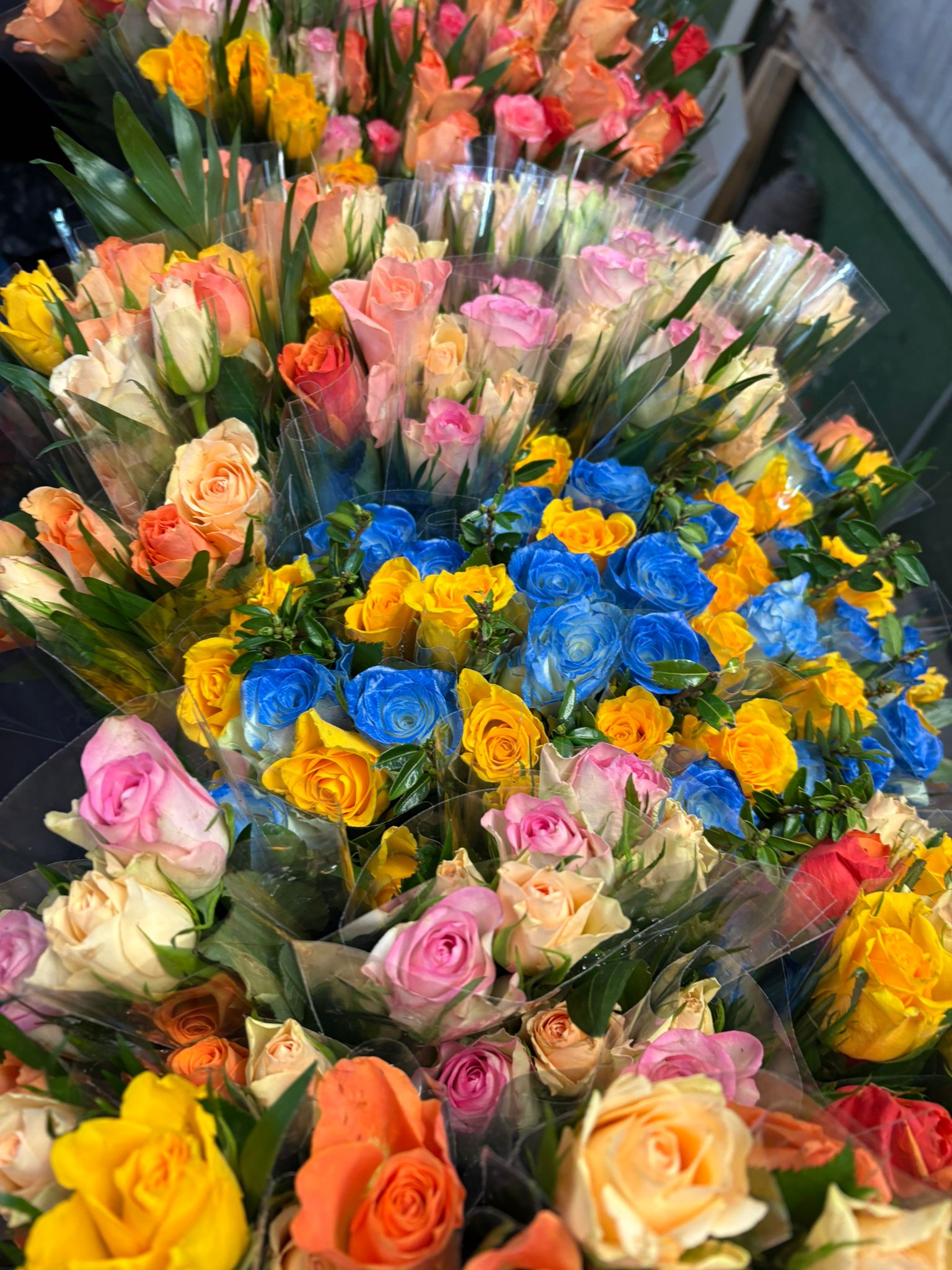 🎭 Vorfreude pur: Die Vorbereitungen für den Rosenmontagszug laufen